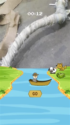 shazaib interior design (@shariali8559)’s videos with In New York I Milly Rock - Demise.