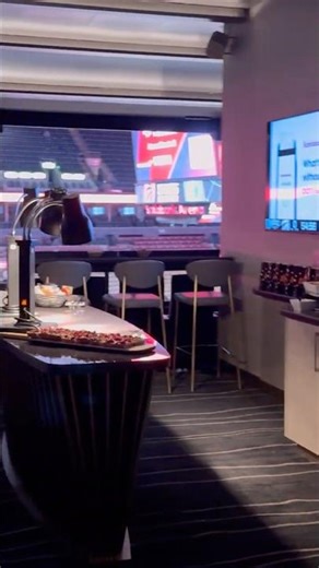 Inside the Private Lounge at the Raptors Game 🏀✨