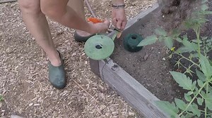 3.6K views · 57 reactions | There are many types of supports for...