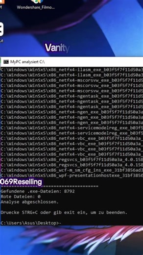 Vanity X Analysis: Insights into 069 Reselling