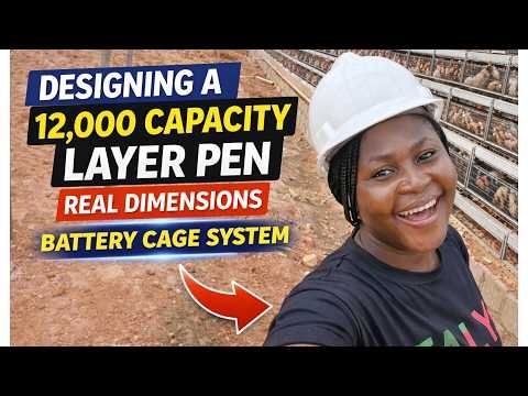 Designing a 12,000 Capacity Layer Pen (Battery Cage System + Real Dimensions)