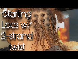 Starter Mini Locs: 2-strand Twist Method on Fine Hair