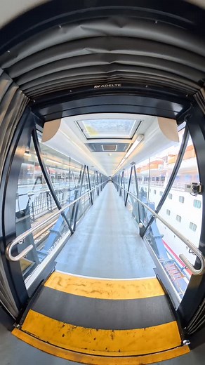 39 reactions · 4 comments | Carnival Splendor Melbourne Cup November...