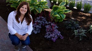 97K views · 4.7K reactions | We are very often asked to recommend plants that are colorful for the shade, so here's our answer! For more information about these two plants please click on the links: Dolce 'Silver Gumdrop' Heuchera: pwwin.rs/sgum Crested Surf Japanese Painted Fern: pwwin.rs/cfern | Proven Winners | Facebook