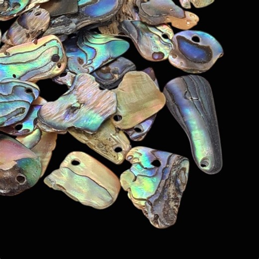 10 Paua Shell Pendants Drilled – Polished Abalone Shell Pieces 1.5–2.5cm (0.6–1") Irregular Natural Shapes for Jewellery Making & Crafts - Etsy