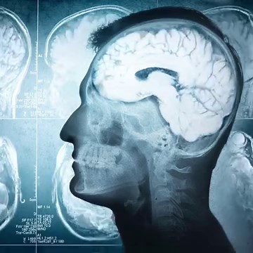 522K views · 147 reactions | We're looking for motivated people to take online Psychology classes. Now is the perfect time to earn your degree from a regionally accredited institution. | Degree Grad | Facebook