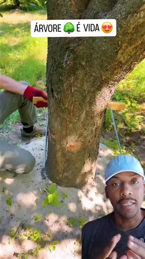 Filipe Henrique | Dicas 🗯️ on Instagram: "Não corte aquela árvore que esta no seu quintal 🌳 Em vez de eliminar o tronco, transformam em mesa, fazem bancos ao redor, criam um espaço de convivência, de conversa, de café passado na hora. É o tipo de sabedoria antiga, da roça, do interior, onde nada se desperdiça. Por que essa ideia é tão especial? ✅️ Aproveita o que já existe, sem agredir o ambiente ✅️ Cria um espaço único, rústico e cheio de história ✅️ Economia de material e de dinheiro ✅️ Valo