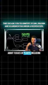 The best 🔴 way to plan for the IAL Biology Unit 2 in May 2026