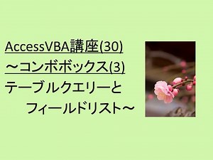 AccessVBA講座(30) ～コンボボックス(3)テーブルクエリーとフィールドリスト～