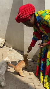 Bless the Lord who daily loads us with benefits. I pray God provides abundantly for you this week in Jesus Name. Matthew 6:26 says, Behold the fowls of the air: for they sow not, neither do they reap, nor gather into barns; yet your heavenly Father feedeth them. Are ye not much better than they?So look up to God this week and He will surprise you with unusual massive supplies in Jesus Name.🙏🏽👌🏼😀😀😀 | Dr. Mrs. Becky Paul-Enenche