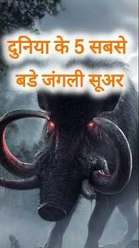 “5 Biggest Wild Boars in the World 🐗 | Monster Wild Boar Facts | #shortsfeed #animalfacts #shorts