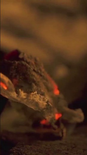 Millions of Flamingos Survive in a Deadly Lake 🦩 #africancountry #facts #tanzania