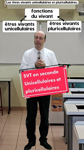 SVT en seconde : unicellulaires et pluricellulaires #SVT #reynoard #2nde #seconde #lycee