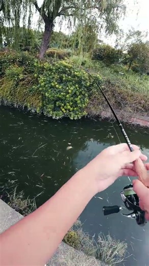 Massive Fish Strike Out of Nowhere #fishing