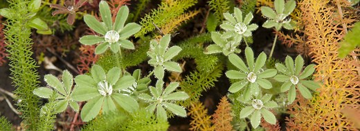 Undergraduate students | Summer Session