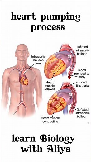 heart pumping process | #3d #short | learn Biology with Aliya
