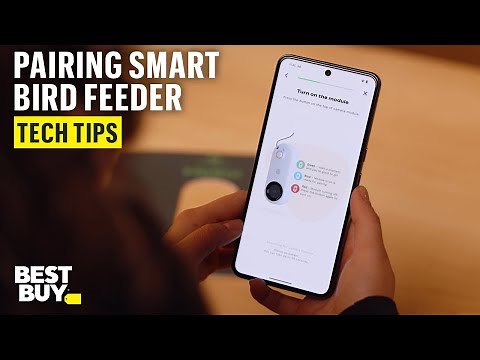 App Pairing for the Bird Buddy Smart Feeder with Solar Roof – Tech Tips from Best Buy