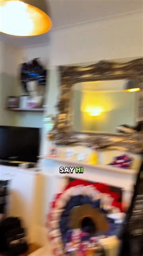 ⚡️ The Bride Has Awakened ⚡️ @the_wigs_and_makeup_manager transforms into a hauntingly glamorous Bride of Frankenstein in our Pale Pink Sleeved Corset (WTS928) — proving that spooky can be stunning. 🖤💗 With a killer silhouette and a touch of gothic Hollywood drama, this look is stitched together to perfection. 🧵 Styling & Creative Direction: @cams_creationscc 💋 Makeup, Wig & Performance: @the_wigs_and_makeup_manager #CorsetStory #HalloweenStyle #BrideOfFrankenstein #GothicGlam #CorsetFashion