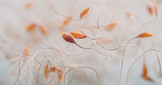 WSP’s history | Discover our evolution into a top professional services and advisory firm