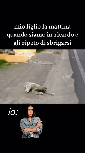 Alessandra Eccel | ✨ Modalità velocità bambini attivata… ✨ Ore 8:00 – “Dai amore, vestiamoci, siamo in ritardo!” 👶🏻 Versione bradipo supremo attivata: un... | Instagram