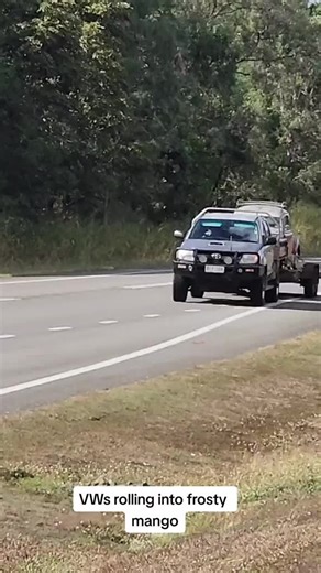 Townsville crew rolling into frosty mango for Volksfest ✌🏻#Volkswagen #livingthebestlife #lifeintheslowlane #kombi #beetle #T3