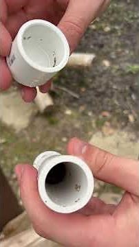 5-Minute Mason Bee Setup | Instant Pollination Boost for Your Garden0517