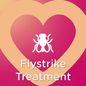 39 reactions · 8 comments | Keep your rabbit happy & healthy with the Pet Health Club. Routine healthcare for just £10.99 a month! Choose from over 500 UK practices. | Pet Health Club | Facebook