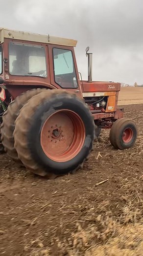 Will Schroeder disking a fine-looking crop of Folgers coffee crystals with his trusty McCormick 1566 | Shadow Ridge Farms