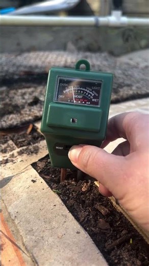 I found a super cheap Soil pH Meter on Amazon that also tells you the moisture and light levels on