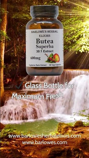 Barlowesherbalelixirs Butea Superba extract - Natural Male Vitality & Wellness Booster #herbal