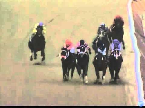 Race Replays Aquaduct