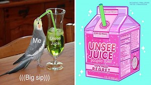 Unsee Juice | Know Your Meme