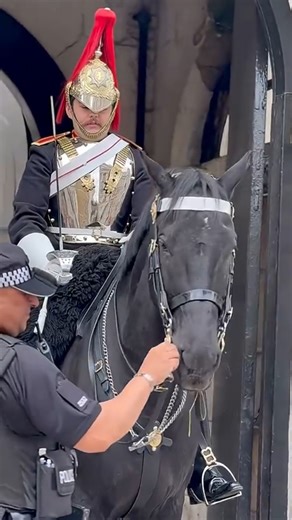 54K views · 909 reactions | Kind MoD Officer Remove Trapped Hay Inside Horse Mouth #queensguard #kingsguard #london #travel | Guards Nation | Facebook