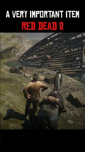 A very important item hidden at the edge of the map in Red Dead 2