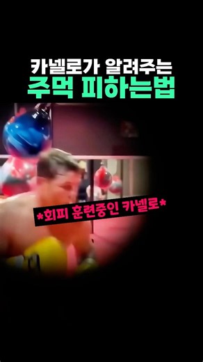 카넬로의 회피 훈련 방법 #복싱