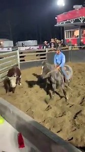 Lucky we had it on video 😱😱😱 Mark Buttsworth & One Stylish Pepto 🙈🙈 | Campdraft Central