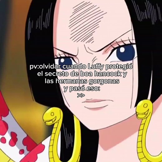 Luffy protegió a boa hancock y a las hermanas gorgonas#fyp #animeedit #boahankock #onepiece #paratiiiiiiiiiiiiiiiiiiiiiiiiiiiiiii