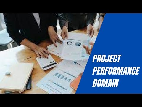 Project Performance Domain