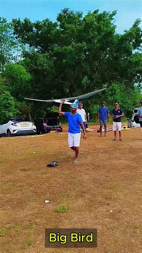 Big Bird | takeoff | #shorts #foryou #trending #foryou #RC #hobby