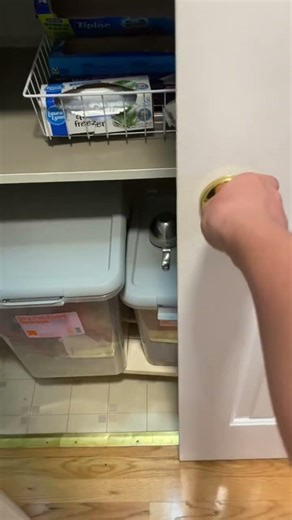 Midnight snack #funny #goofy