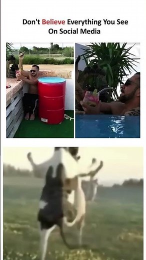 Funniest Memes of 2025 | Try Not To Laugh Challenge #shorts #FunnyMemes