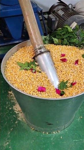 Corn Rapid Crusher is a super professional and practical machine that everyone needs to know about
