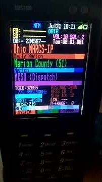 SDS100 Low Battery indicator