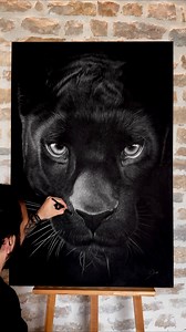 « BAGHEERA » - SKIMA 2024 ✏️🐈‍⬛ . Drawing made only with pastels pencils @fabercastellfrance and black stone 3B @conteaparisofficiel - 120x80cm on Paper @dalbe.fr 🖼️ . #hyperrealism #realistic #drawing #artwork #charcoal #design #art #artist #draw #skimadrawing #skima #creation #panthers #animals | Skima Realistic Drawing