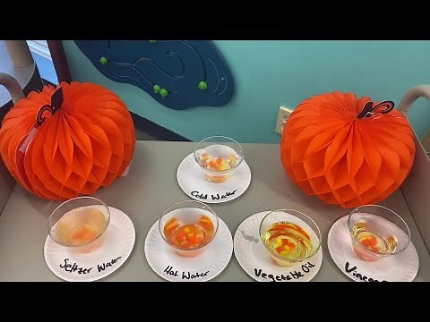 STEM Activity: Dissolving Candy Corn