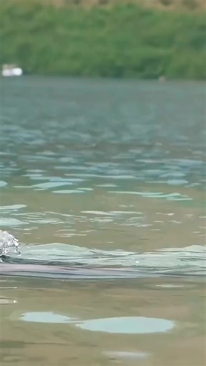 Explore the Allure of Wet Clothing