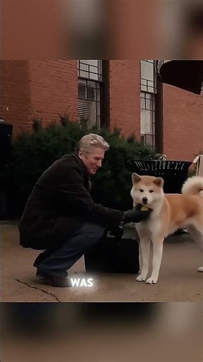 This Dog Waited for His Owner Every Day #movietok #movieclip #filmtok #storytime