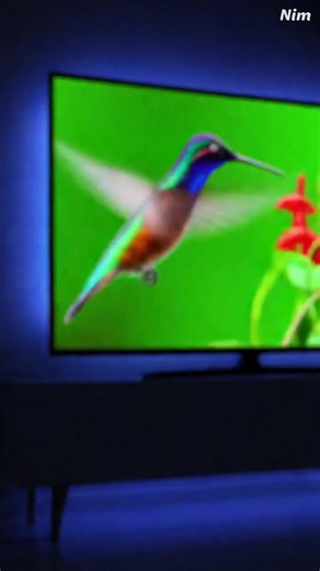 🚨 STOP AUX IMAGES FLOUES ! Si ton installation mérite le MEILLEUR, choisis le câble coaxial Televés 💥 🔌 100 % cuivre 🛡 Double blindage Classe A 🌡 Résiste à la chaleur & à l’humidité 📡 Signal stable. Image nette. Zéro parasites. 📍 Disponible maintenant chez Smart TV EURL ☎️ 213 (0) 660 84 95 12 213 (0) 660 84 95 15 213 (0) 660 84 95 13 ⚡ La différence se voit dès la première connexion ! #Televes #SmartTVEURL #SignalPuissant #CableCoaxial #ClasseA #InstallationPro #HDTV #AntenneTV #QualitéP