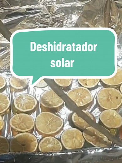 Cómo hacer un deshidratador solar con una caja