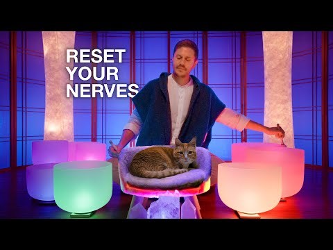 COMPLETE Nervous System Chakra Alignment